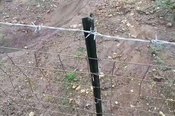 南京護(hù)欄網(wǎng)